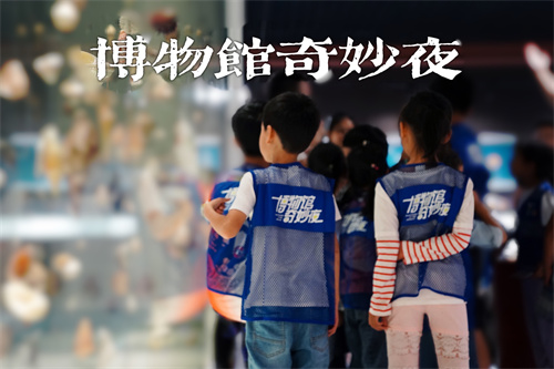 奇妙夜矿物活动.jpg