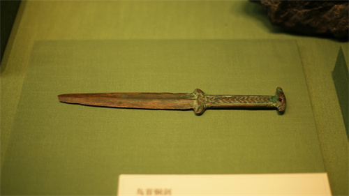 1722241254935511.jpg 战国 鸟首铜剑 乌兰察布市博物馆藏.jpg
