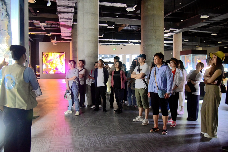 1749795201244111.jpg DSC_4952.JPG